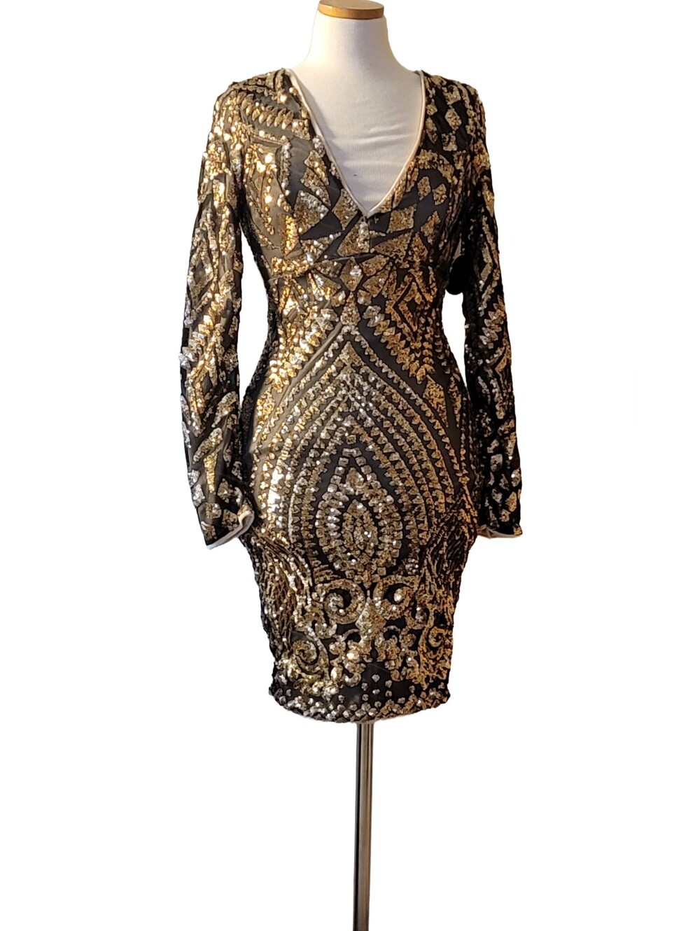 Embellished Sheer Sequins Date Night Ladies Night Out Party Mini Dress